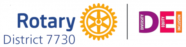District DEI Logo